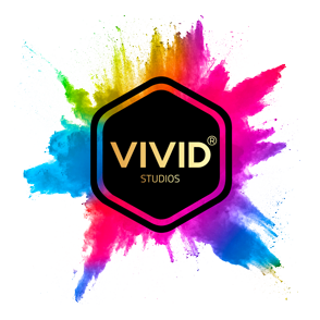Vivid Studios Logo